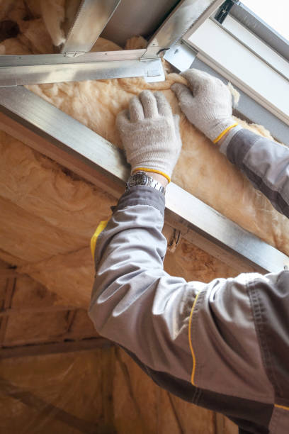 Best Commercial Insulation in Robins, IA