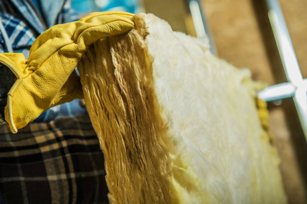 Best Insulation Maintenance and Repair in Robins, IA