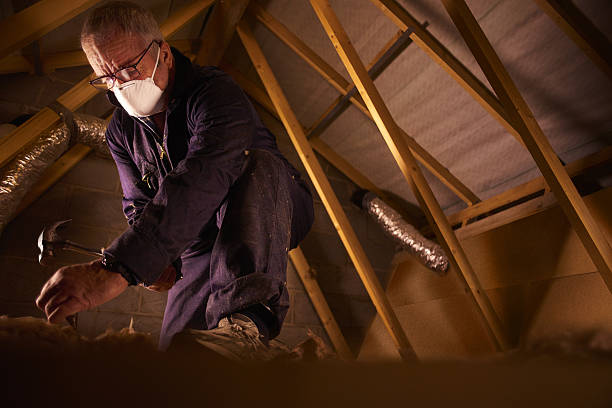 Best Types of Insulation in Robins, IA